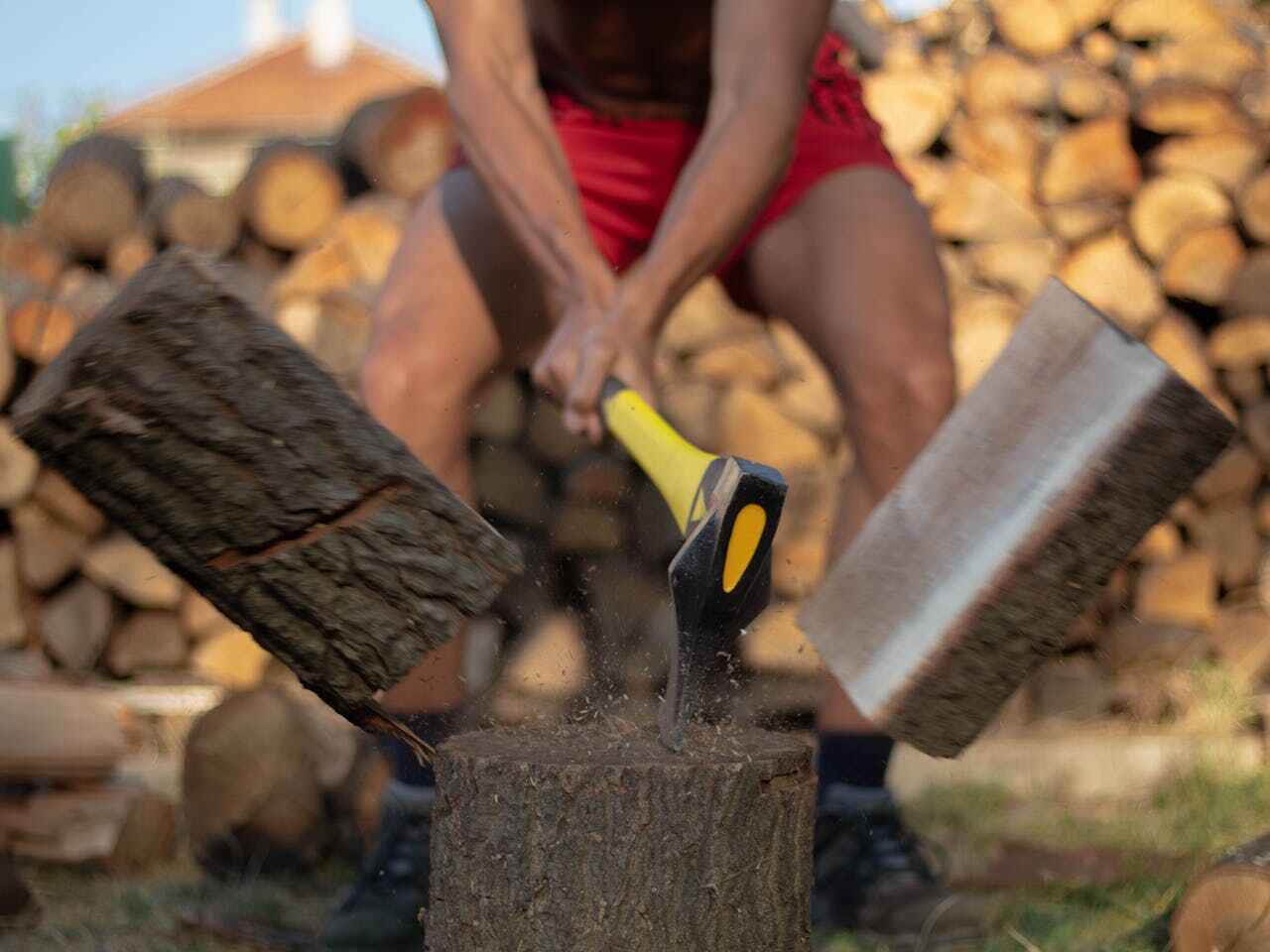 Dead Tree Removal in Clarksdale, MS